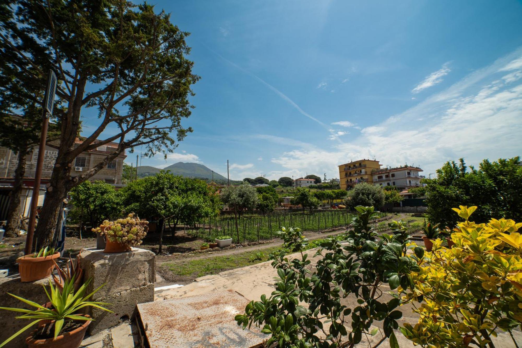 L'Orizzonte Bed and Breakfast Ercolano Esterno foto